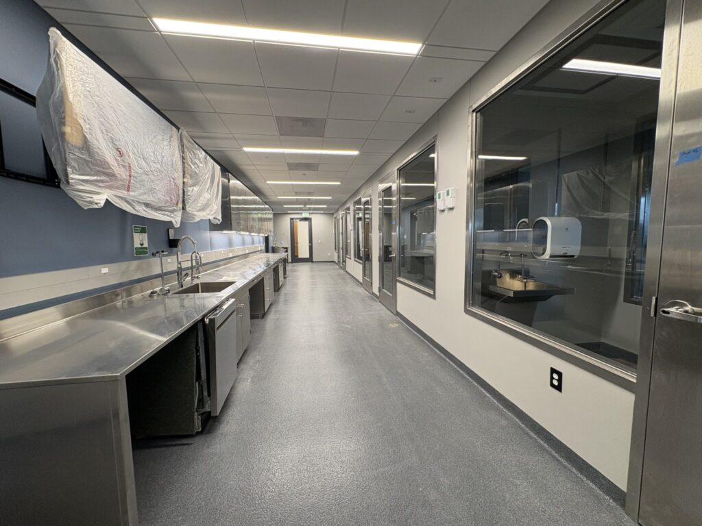 small animal isolation unit hallway; windows to each room on the right, counters on the left
