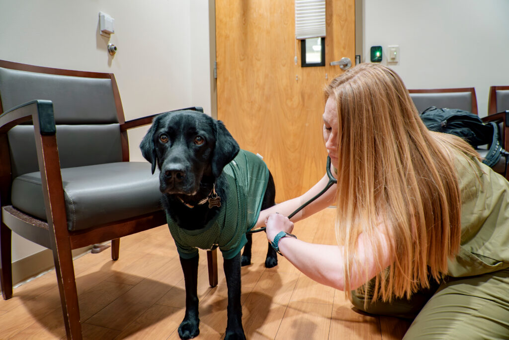Wonder at her primary care appointment