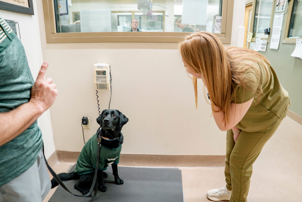 Wonder on the scale at her primary care appointment