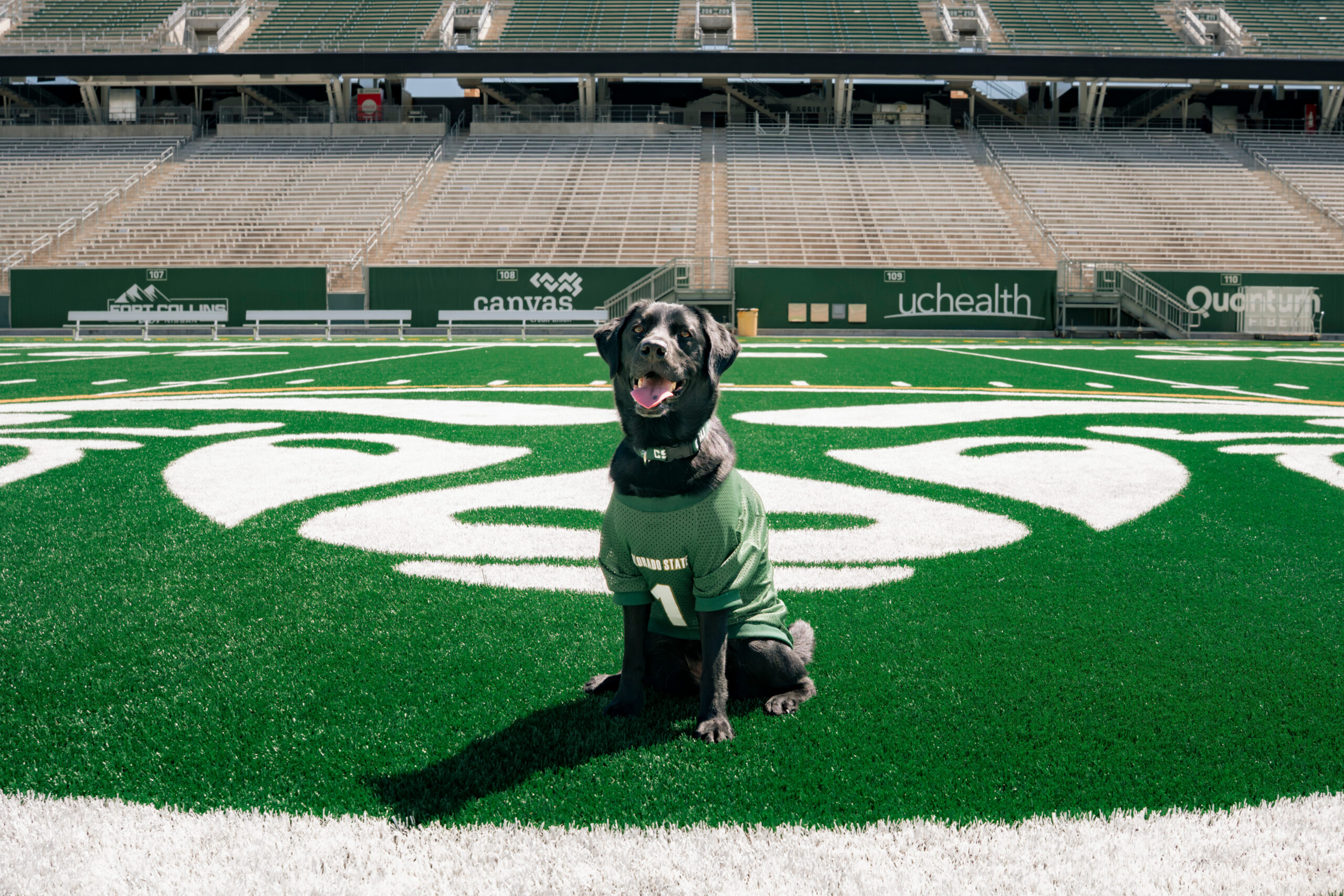 Wonder on the CSU Football Field