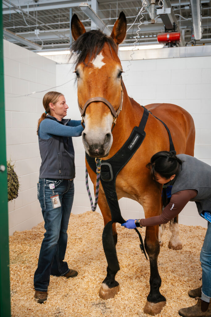 Champ at his first ketamine infusion appointment having a wireless ECG monitor placed 