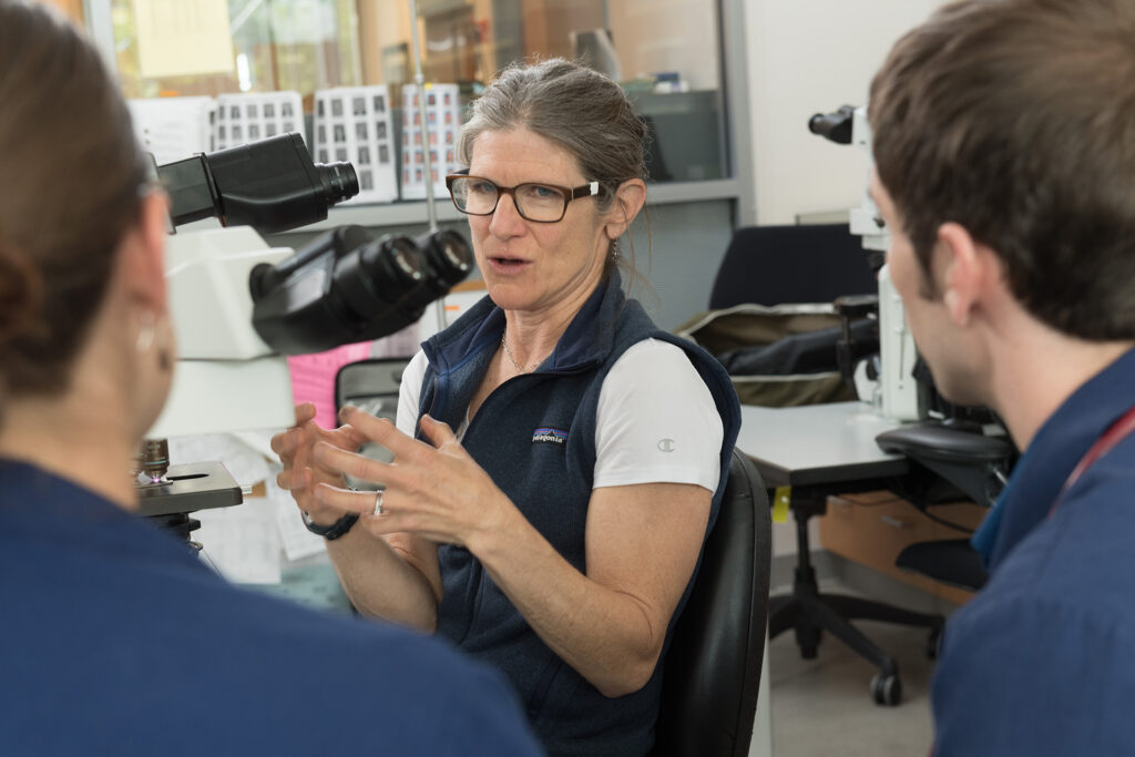 Dr. Christine Olver working with DVM students in the Clinical Pathology Laboratory