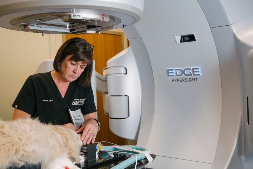 Sarah Bruns, RVT, prepares a patient for radiation therapy. 