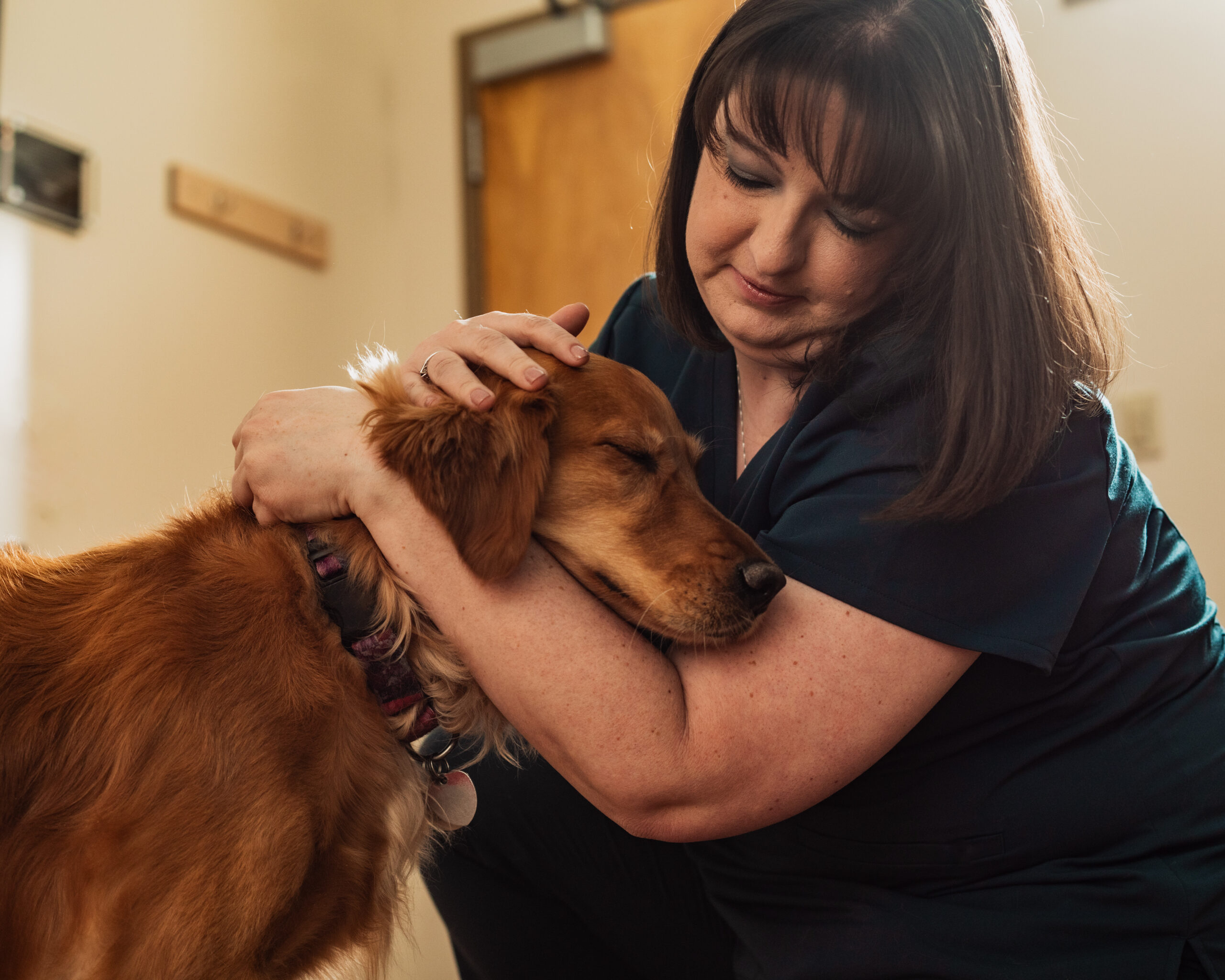 A dog with Primary care registered veterinary technician Nikki Harmsen
