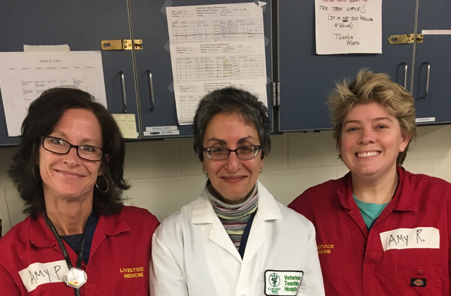 Amy Pagel, Dr. Khursheed Mama, and Amy Rodriguez smiling for a photo